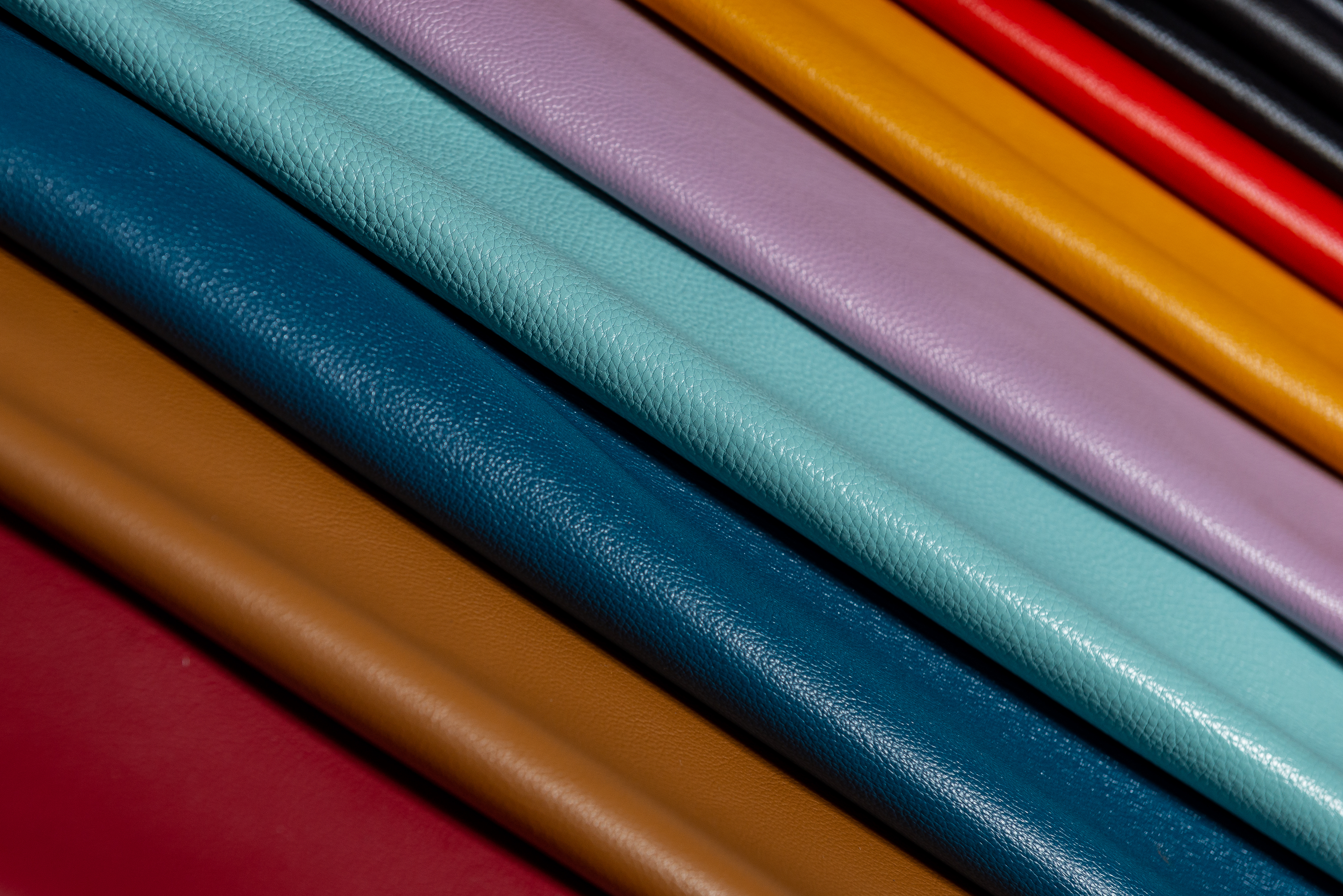 Осень-зима 2025-2026