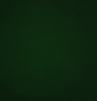 Велюр Спилок