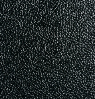 Борсетта Рио 4.1