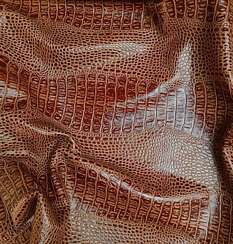 Atlanta Alligator 4.1