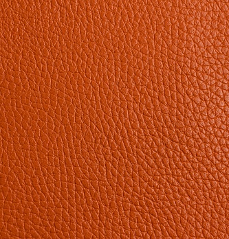 Прага Рио 6.1