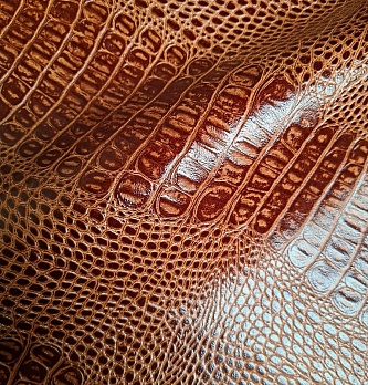 Atlanta Alligator 4.1