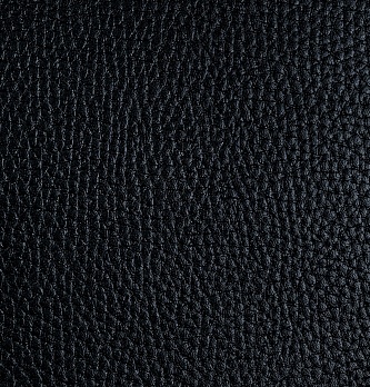 Легенда Рио 1.1