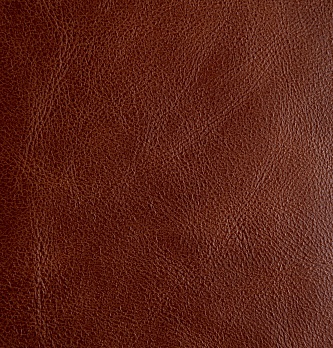 Алекс 9.1