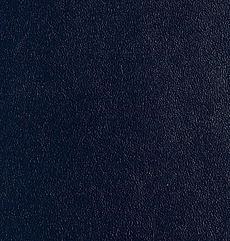 Фиджи Галант 4.1