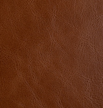 Алекс 9.1
