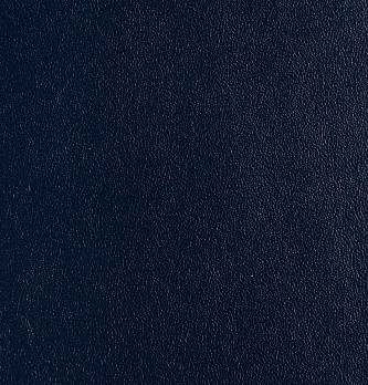 Фиджи Галант 4.1