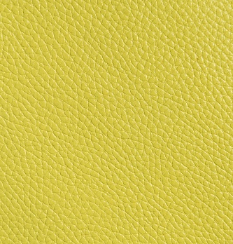 Борсетта Рио 4.1